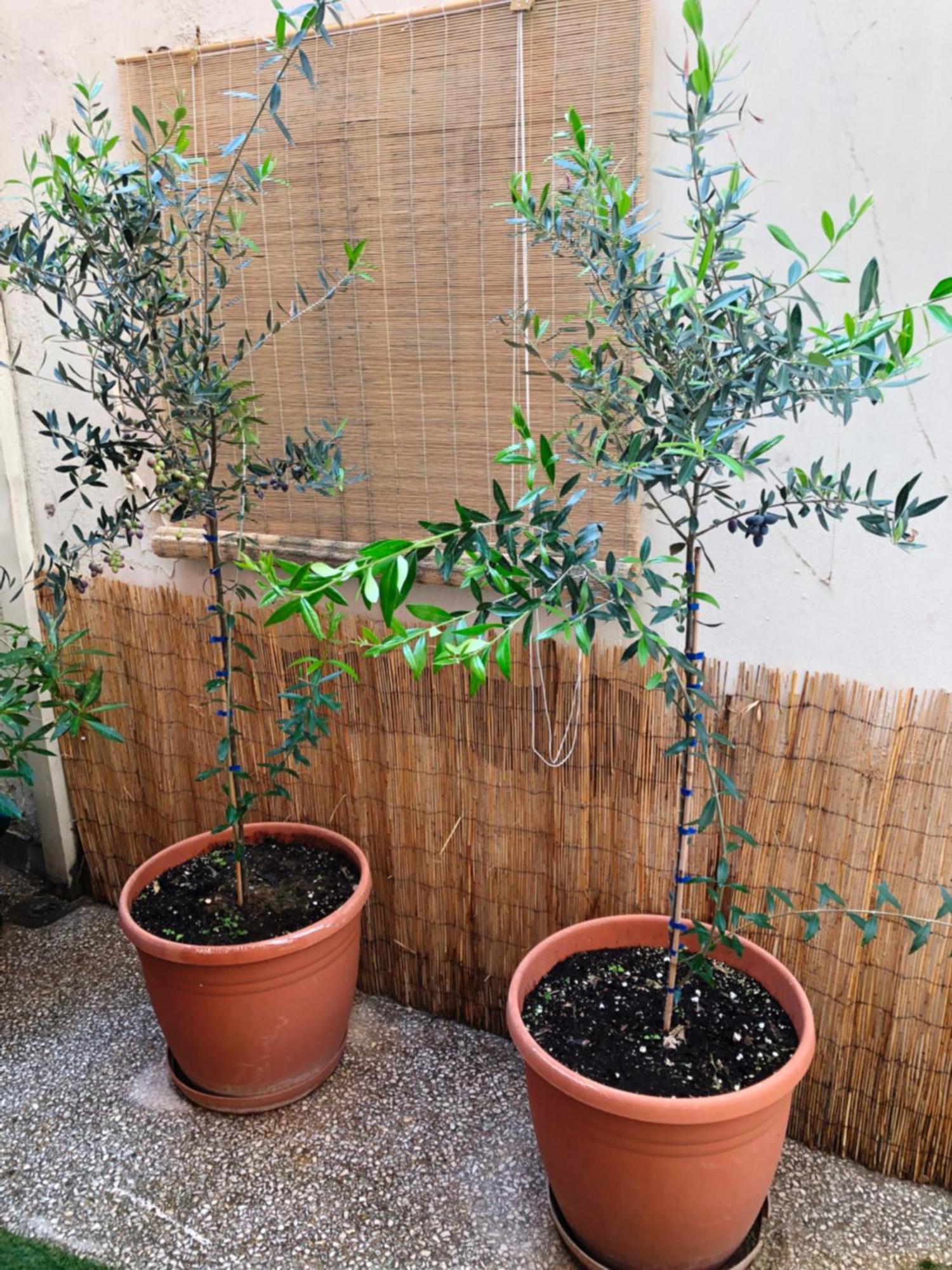 Apartamento de 80 m² en Exarchia, con 3 habitación Atenas Exterior foto